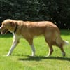 Nina - hübsche Griechin auf der Suche