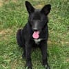 FREYA 2 sucht Familie