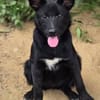 FREYA 2 sucht Familie