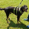Rocko - auf PS in Bayern