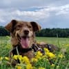 Mondo - ist ein sanfter Schatz