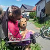 Viola- Sonnenschein mit viel Potential