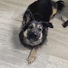 Nadenka❤sucht ihre Menschen