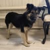 Nadenka❤sucht ihre Menschen