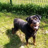 Rocky(Réservé)