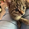Daisy sucht ein liebevolles Zuhause