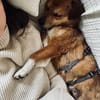 Ella - verschmust und neugierig - in DE