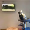 Penny und Pepe nur gemeinsam