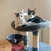 Penny und Pepe nur gemeinsam