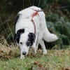 Liebenswerte Samira wünscht sich Familie