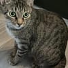 Dori sucht ein liebevolles Zuhause