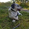 Aljoscha: beeindruckend charismatisch DE