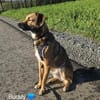Buddy sucht sportliche Menschen.