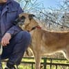 ‼ NOTFALL ‼ RUBY sucht 🆘in 91616