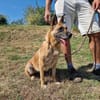 ‼ NOTFALL ‼ RUBY sucht 🆘in 91616