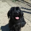 Liebenswerte Babi sucht Familie