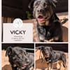 Vicky: Treue Seele (50321 Brühl)