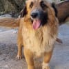 Besuche Grace in 86825 Bad Wörishofen ❤