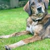 Liebevolle Sara sucht dich!