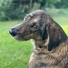 Liebevolle Sara sucht dich!