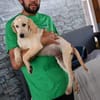 Pongo hofft auf seine Chance