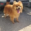 RIKY cessione di proprietà