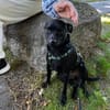 Tommy, Neuanfang gesucht