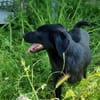 wunderschöne Cleo sucht Körbchen