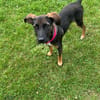 CANDY sucht ihre Lieblingsmenschen