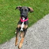 CANDY sucht ihre Lieblingsmenschen