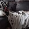 CANDY sucht ihre Lieblingsmenschen
