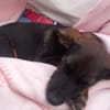 CANDY sucht ihre Lieblingsmenschen