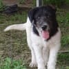 Oskar will die Welt entdecken