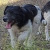 Oskar will die Welt entdecken