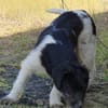 Oskar will die Welt entdecken