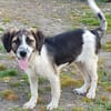 Bruno will die Welt entdecken