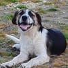 Bruno will die Welt entdecken
