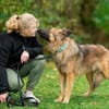 Hans❤sucht Pflege- oder Endstelle