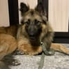 Hans❤sucht Pflege- oder Endstelle