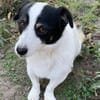 Flo sucht besondere Menschen