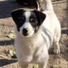 Flo sucht besondere Menschen