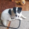 Flo sucht besondere Menschen
