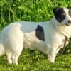 Flo sucht besondere Menschen