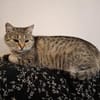 Mela - kleine Kämpferin sucht DICH!