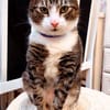 Lucky - hier ist der Name Programm