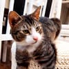 Lucky - hier ist der Name Programm