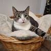 Lucky - hier ist der Name Programm