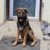 Aufgeschlossene NAMIKA sucht ihr Zuhause