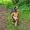 Freundlicher Hundemann Friedrich!!!