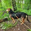 Freundlicher Hundemann Friedrich!!!